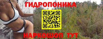 дживик Абакан