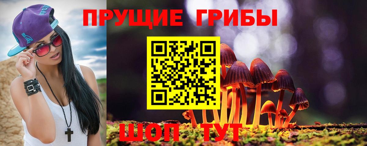 Абинск  Псилоцибиновые грибы Psilocybe  Галлюциногенные грибы MAGIC MUSHROOMS  Вход с VPN 